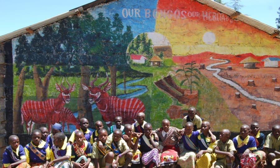 Tusk Trust - Bongo Surveillance Project