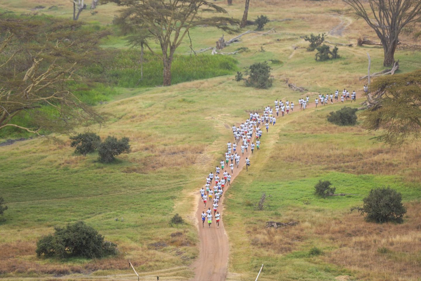 Lewa Safari marathon runners Aerial view