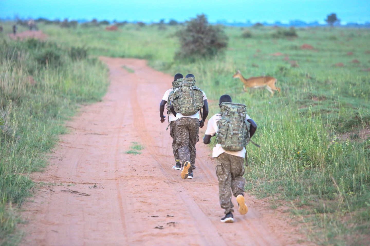 Uganda Hub, Wildlife Ranger Challenge 2024